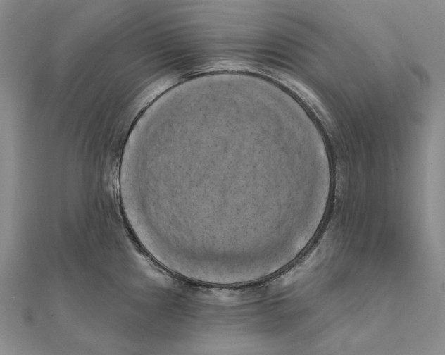 X0000111361241200908071147