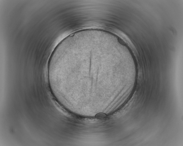 X0000111361242200908071147