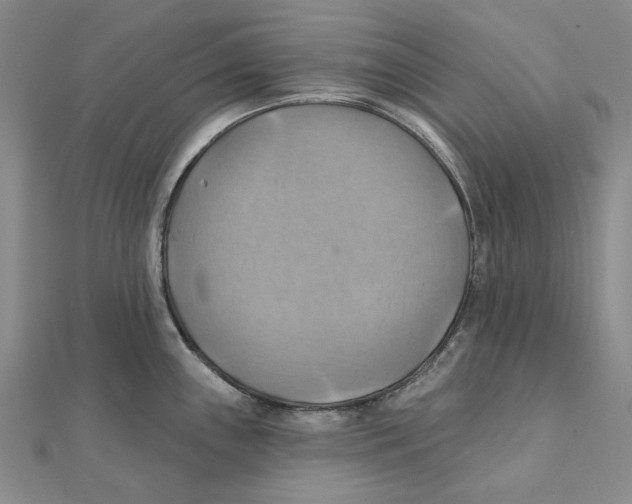 X0000111361243200908071147