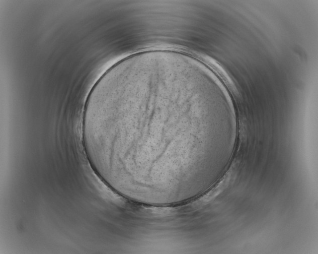 X0000111361244200908071147