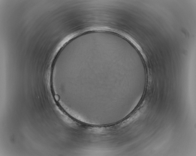 X0000111361245200908071147