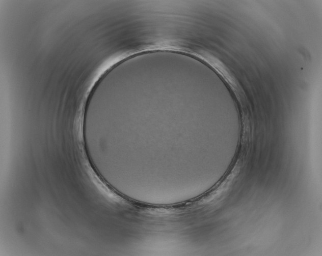 X0000111361246200908071147