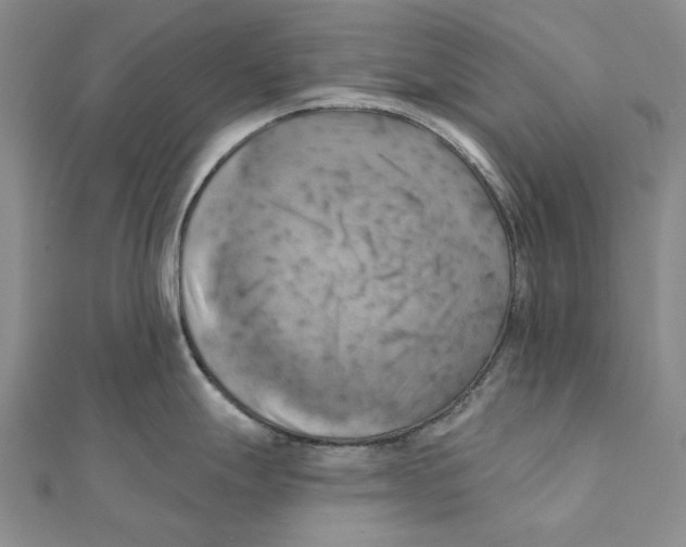 X0000111361247200908071147