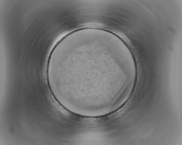 X0000111361248200908071147