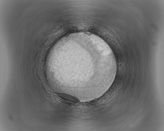 X0000111361249200908071146