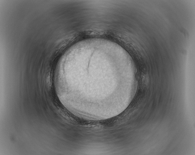 X0000111361250200908071146