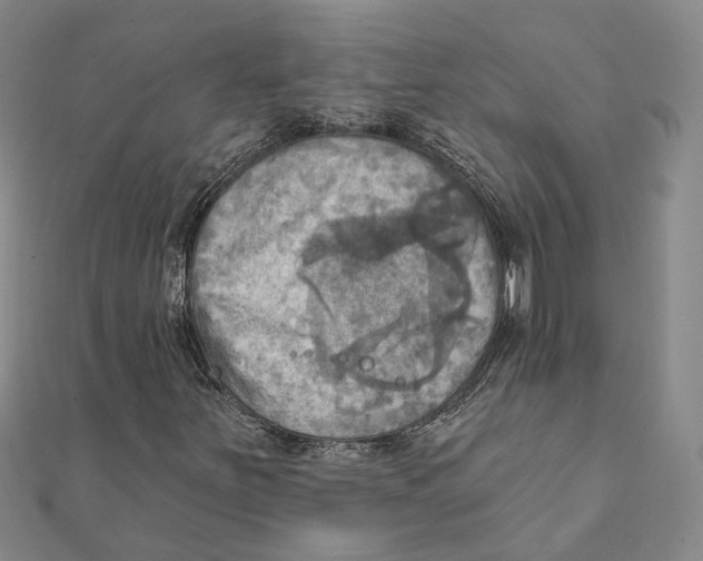 X0000111361251200908071146