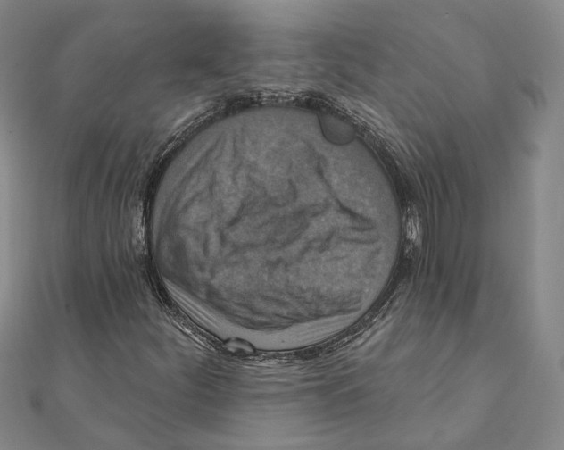 X0000111361252200908071146