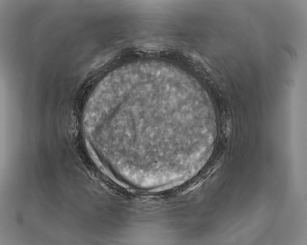 X0000111361253200908071146