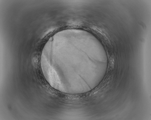 X0000111361254200908071146