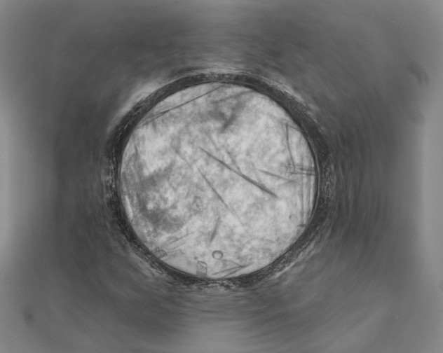 X0000111361255200908071146