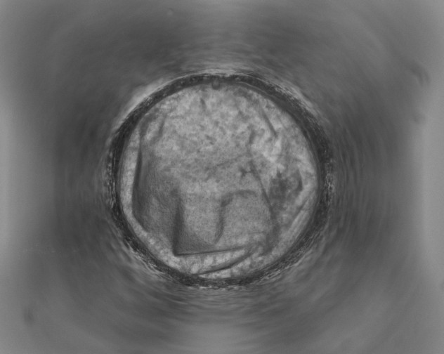 X0000111361256200908071146