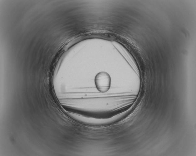 X0000111361257200908071146