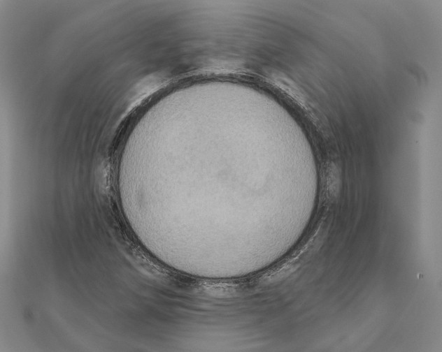 X0000111361258200908071146