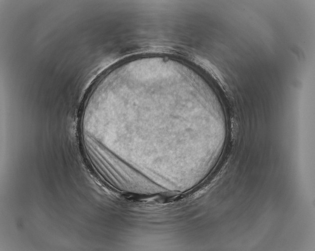 X0000111361260200908071146