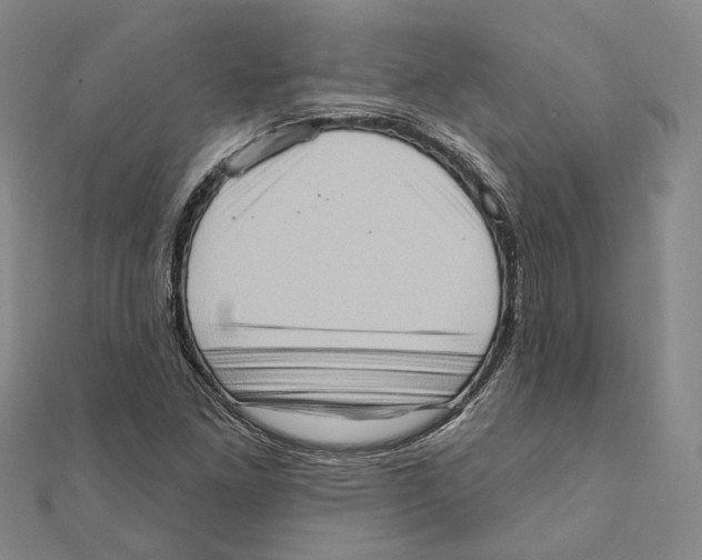 X0000111361261200908071146