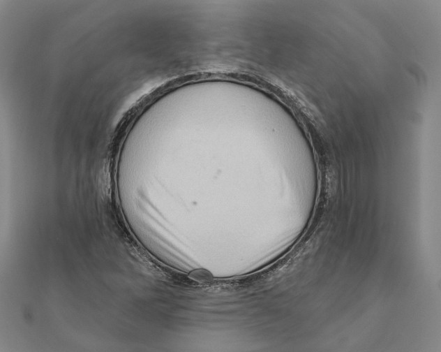 X0000111361262200908071146