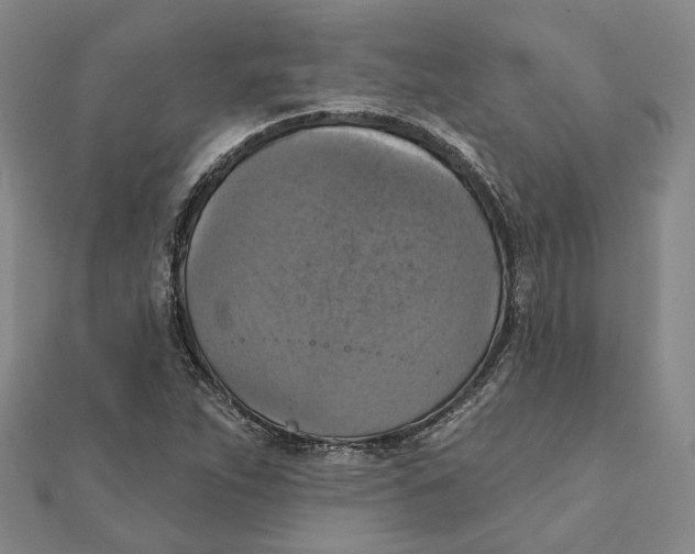 X0000111361263200908071146