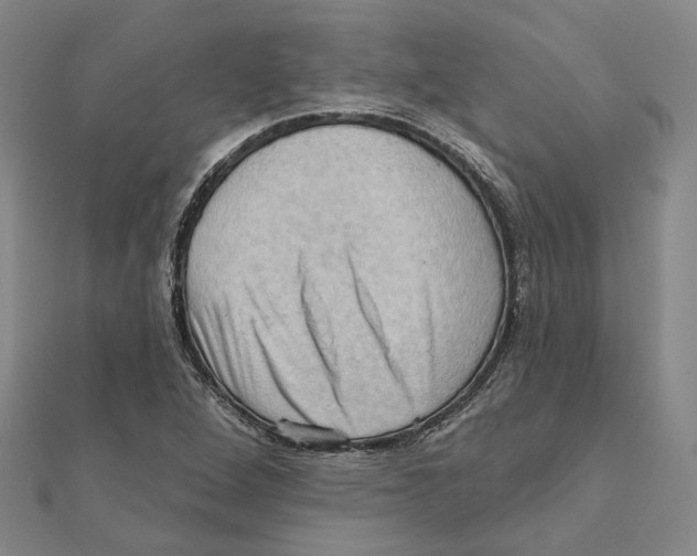 X0000111361264200908071146