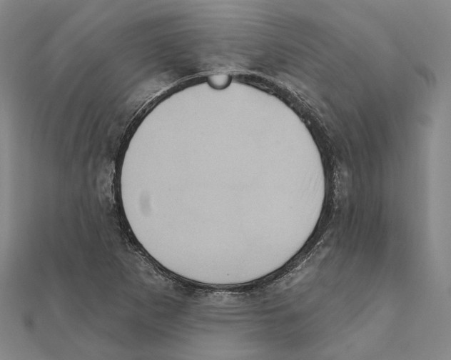 X0000111361265200908071146