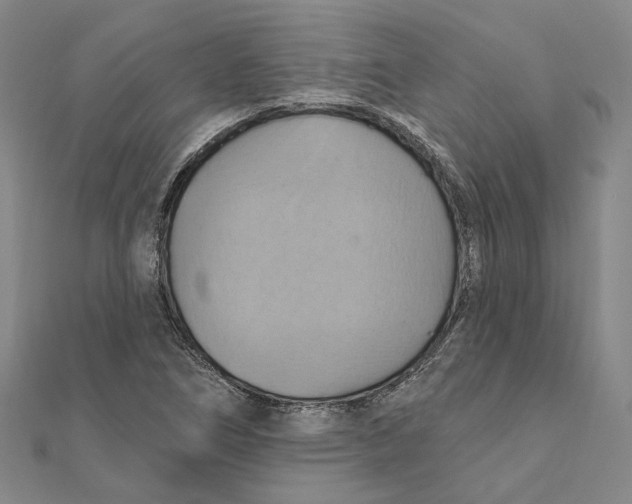 X0000111361266200908071146