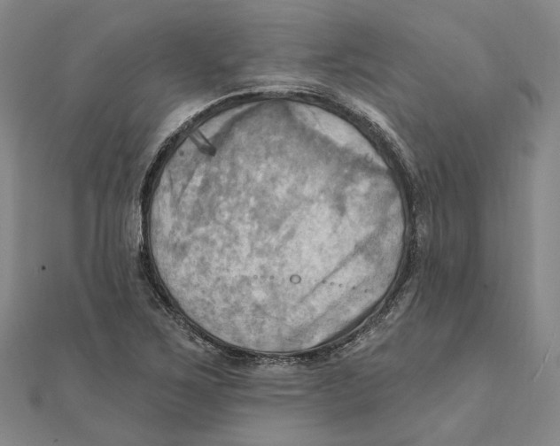 X0000111361267200908071146