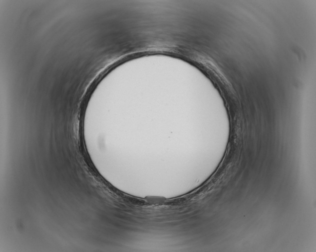 X0000111361268200908071146