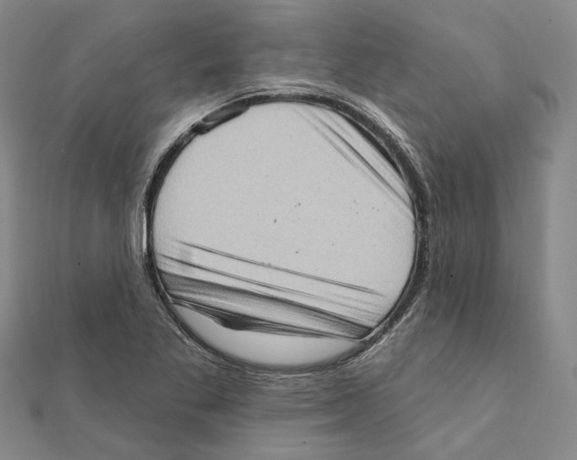 X0000111361269200908071146