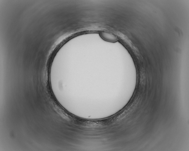 X0000111361270200908071146