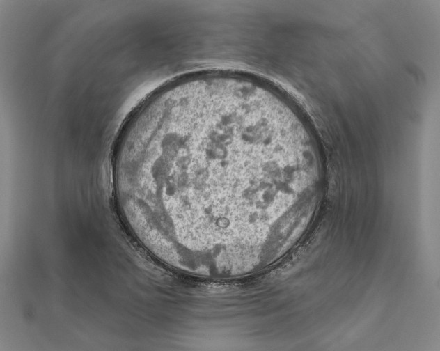 X0000111361271200908071146