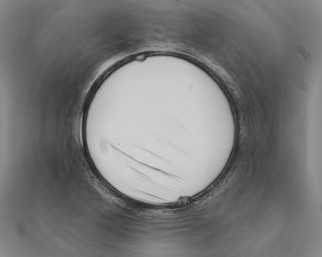 X0000111361272200908071146