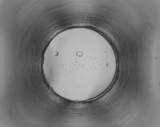 X0000111361273200908071146