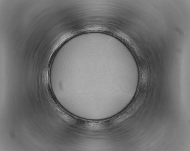 X0000111361274200908071146