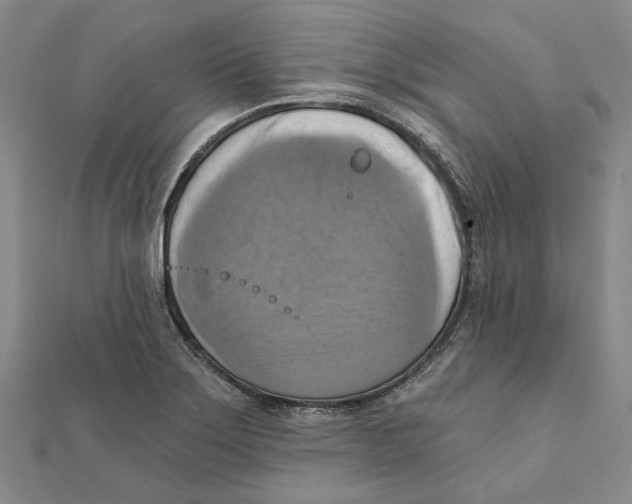 X0000111361275200908071146