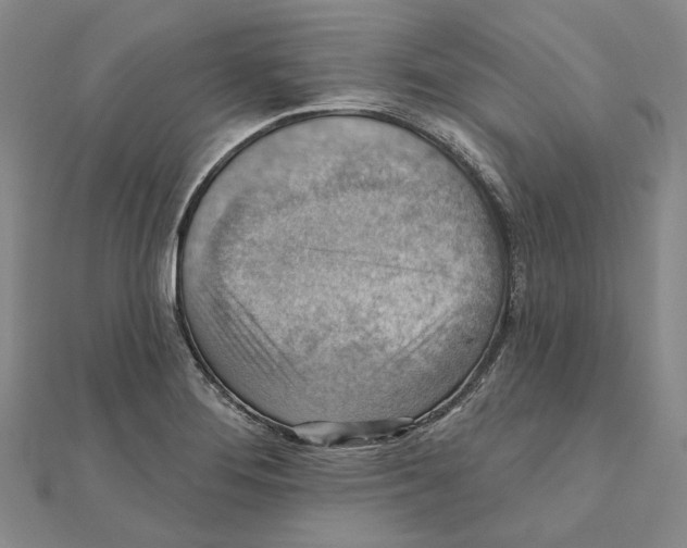 X0000111361276200908071146