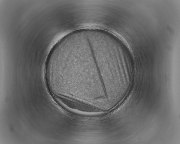 X0000111361277200908071146