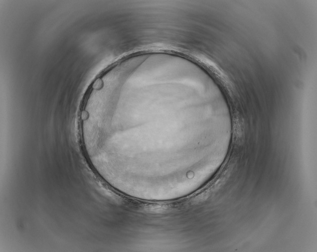 X0000111361278200908071146