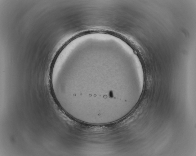 X0000111361279200908071146