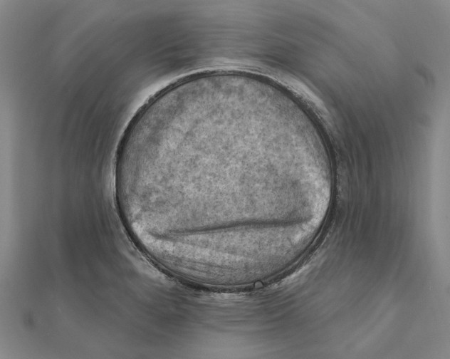 X0000111361280200908071146