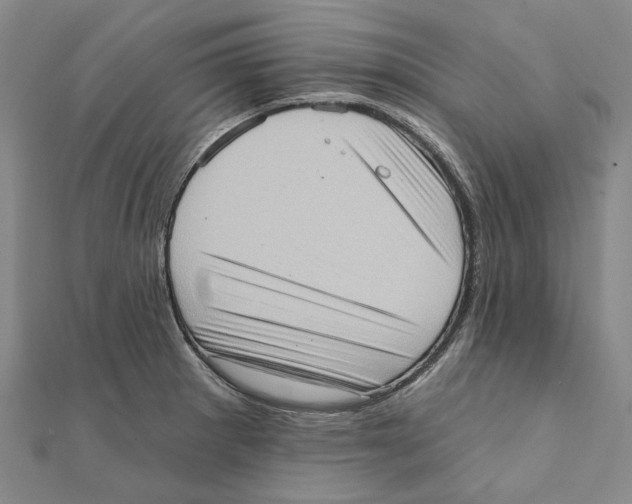 X0000111361281200908071146