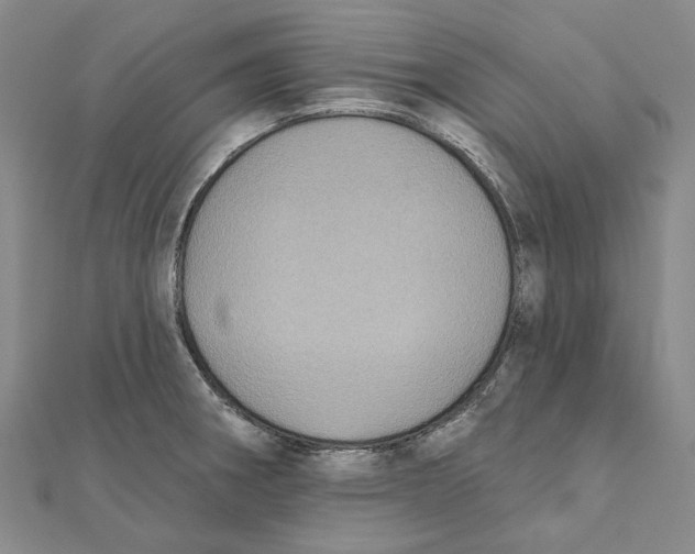 X0000111361282200908071146