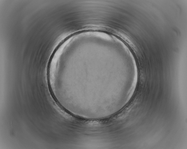 X0000111361283200908071146