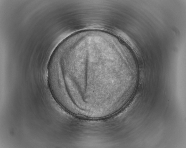 X0000111361284200908071146