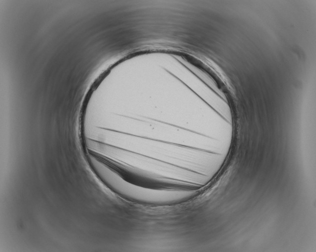 X0000111361285200908071146