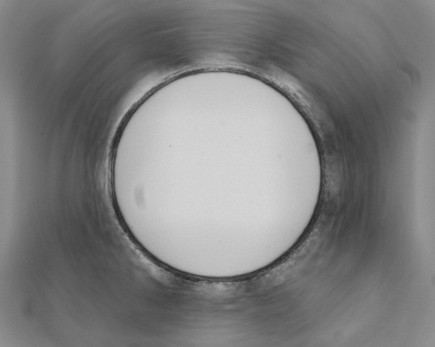 X0000111361286200908071146