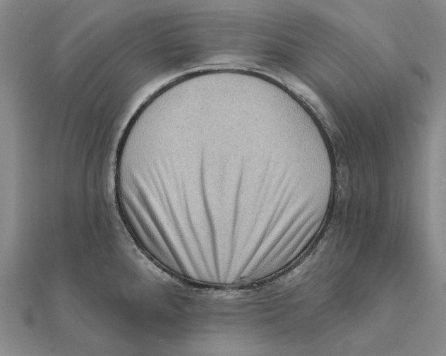 X0000111361288200908071146