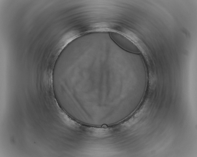 X0000111361289200908071146