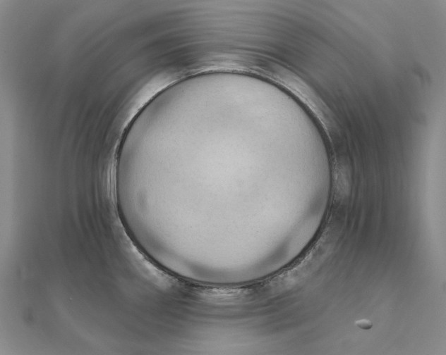 X0000111361290200908071146