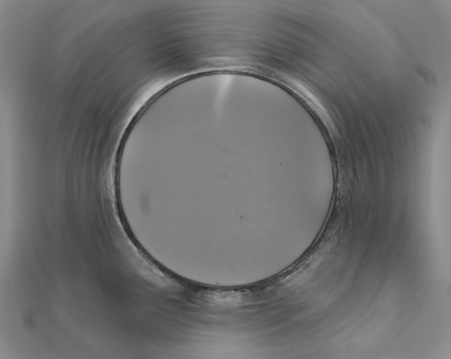 X0000111361291200908071146