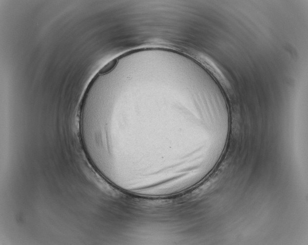 X0000111361292200908071146